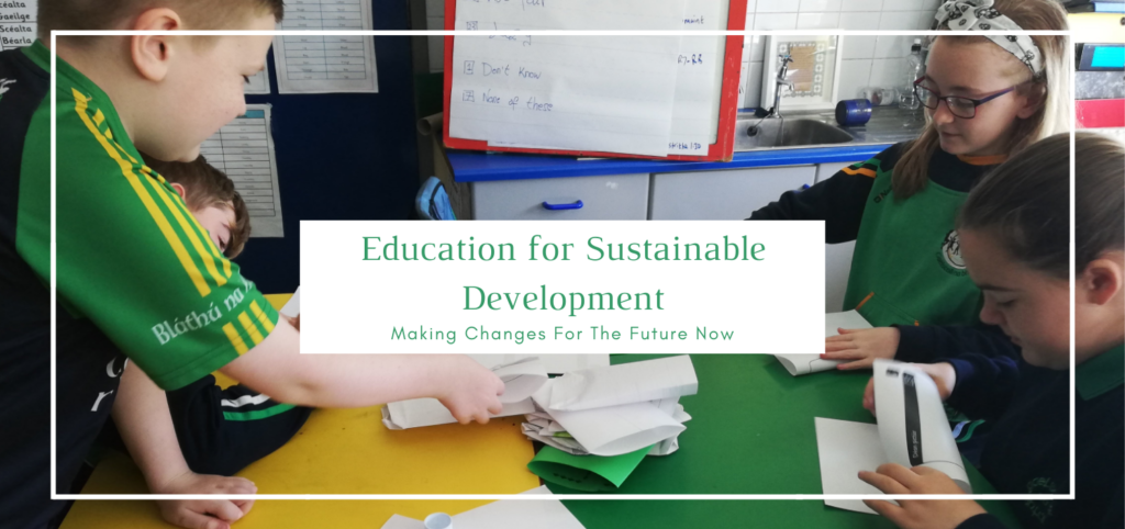 Education-for-Sustainable-Development – Tools For Solidarity